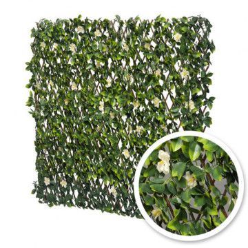 Treillis Extensible Feuilles imitation Jasmin - 1m x 2m