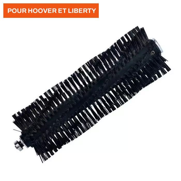Brosse Détachée pour Brosseuse Aspirante: Entretien Gazon Synthétique