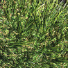 IMMERSION - pelouse artificielle 52mm fabriqué en europe