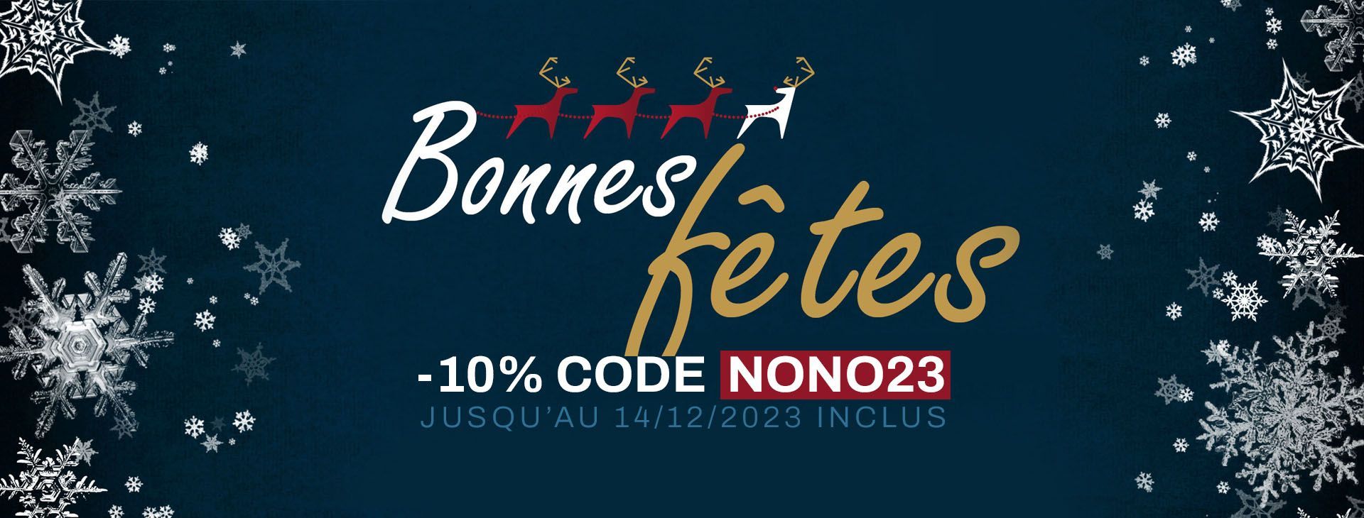 https://www.gazons-synthetiques.net/img/cms/eccontenu/noel-gs-2023.jpg