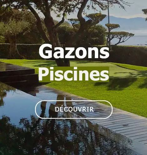 Gazons Piscines