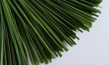 suivez nos conseils et lisez nos articles de blog