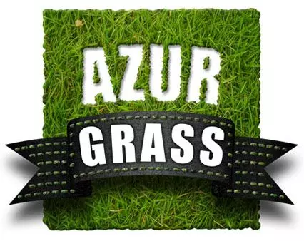 pelouses artificielles haut de gamme à petit prix signées azur grass