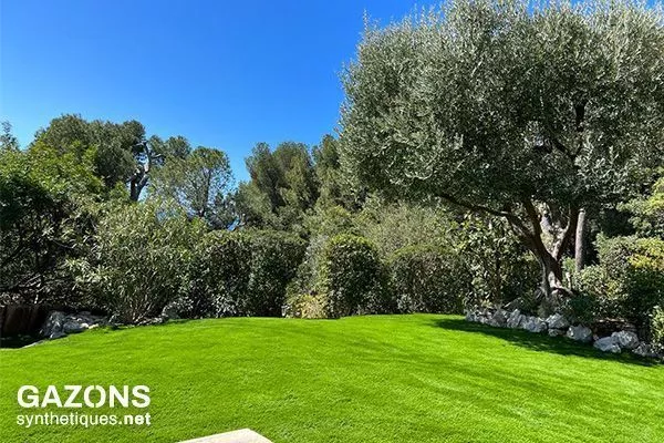 pelouse synthétique rez de jardin