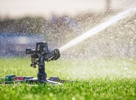 Canicule : pourquoi les fausses pelouses sont à bannir absolument 